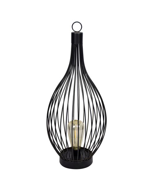 Lampe solaire métal filaire noir 20 Lumens noire