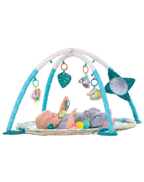 3-in-1-Bällebad und Spielplatz - Geburt und +