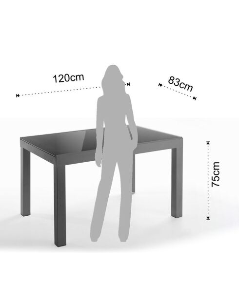 Table à rallonge long grise - 75x83x175/230/290/350 cm