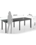 Table à rallonge long grise - 75x83x175/230/290/350 cm