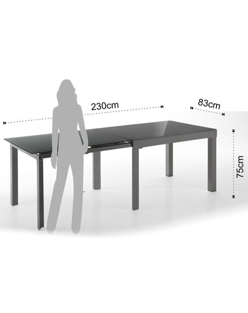 Table à rallonge long grise - 75x83x175/230/290/350 cm