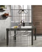 Table à rallonge long grise - 75x83x175/230/290/350 cm