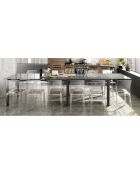 Table à rallonge long grise - 75x83x175/230/290/350 cm