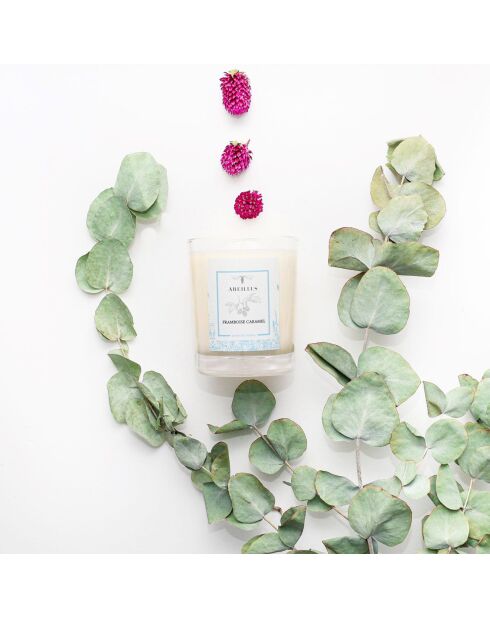 Bougie parfumée Jardin rêvé Jardin des délices Framboise caramel ivoire - 45h
