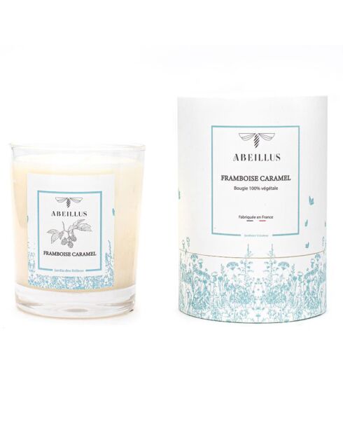 Bougie parfumée Jardin rêvé Jardin des délices Framboise caramel ivoire - 45h
