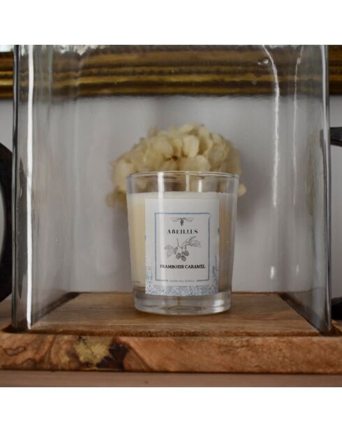 Bougie parfumée Jardin rêvé Jardin des délices Framboise caramel ivoire - 45h
