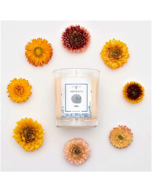 Bougie parfumée Jardin en hiver Miel ivoire - 45h
