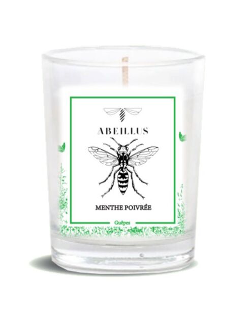 Bougie parfumée Jardin d'été Menthe poivrée ivoire - 45h