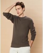 Pull en Coton & Cachemire Rib Crew olive