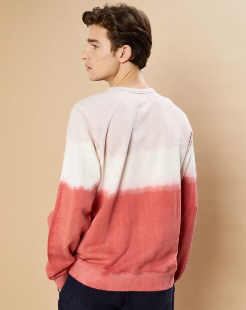 Sweat Light faded rose/brick