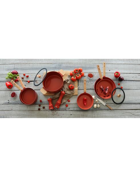 Faitout avec couvercle à induction Ector paprika - D.24 cm