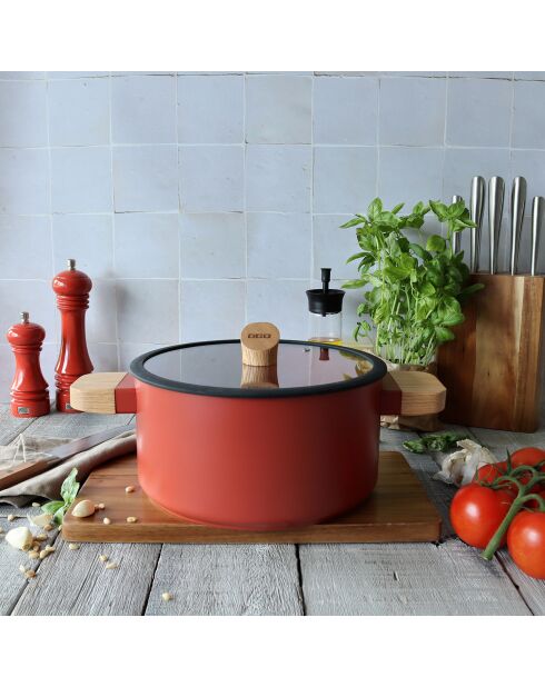 Faitout avec couvercle à induction Ector paprika - D.24 cm