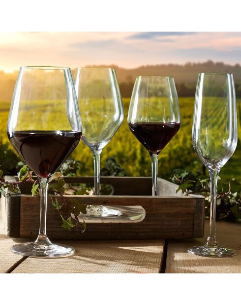 6 Verres à pied en cristallin Zenith transparents - 25 cl