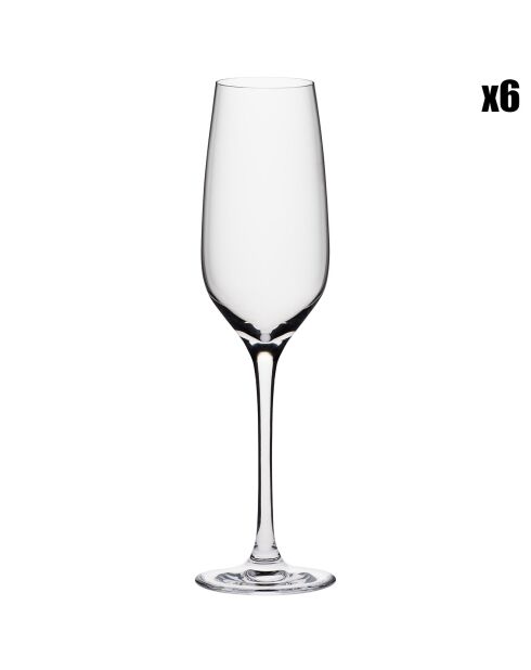 6 Flutes à champagne en cristallin Zenith transparentes - 19 cl