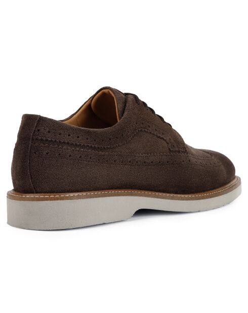 Derbies en Velours de Cuir Gubbio brun foncé