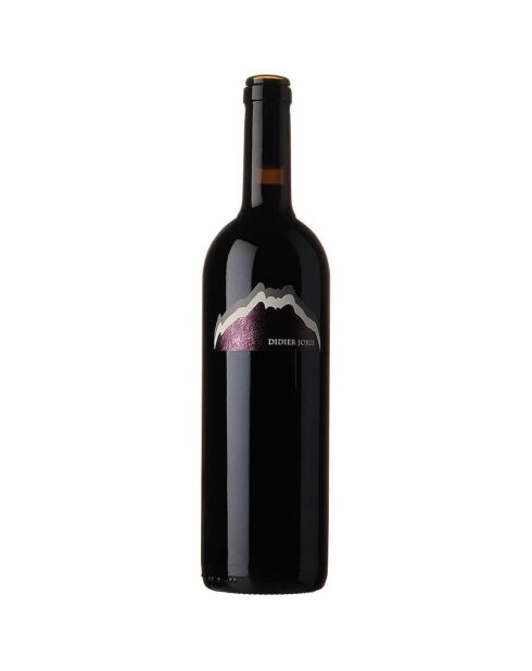 1 Valais Syrah Champlan 2019 Dom. Didier Joris 75cl