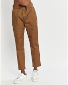 Pantalon Regular Fit Fave Tapered marron