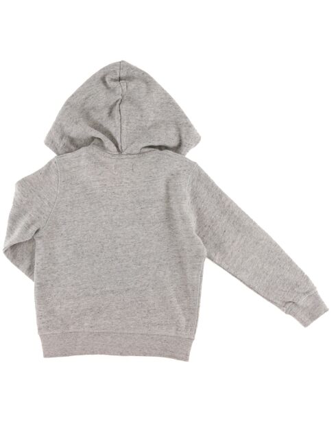 Sweat zippé en Coton Noa à capuche gris clair