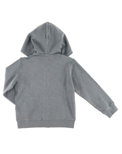 Sweat zippé en Coton Noa à capuche vert de gris