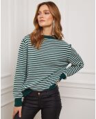 Pull Astro en Cachemire mélangé vert/écru