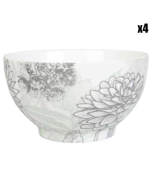 4 Bols en Porcelaine Gravures colorées verts - 55cl