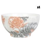 4 Bols en Porcelaine Gravures colorées terracotta - 55cl