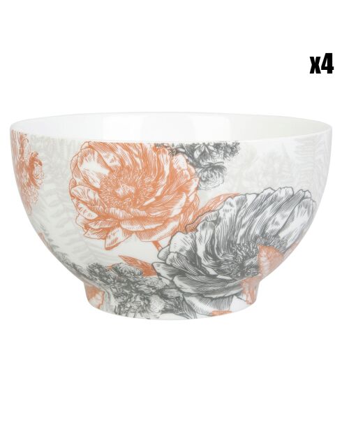 4 Bols en Porcelaine Gravures colorées terracotta - 55cl