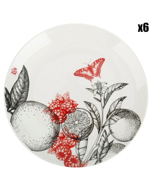 6 Assiettes à dessert en Porcelaine Dans mon jardin noir/rouge - D.19.2 cm