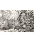 4 Sets de table rectangulairess Léopard multicolores - 30x45 cm