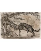 4 tovagliette rettangolari leopardate color seppia - 30x45 cm