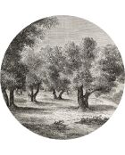 4 Sets de table ronds arbre champêtre noir/blanc - D.40 cm