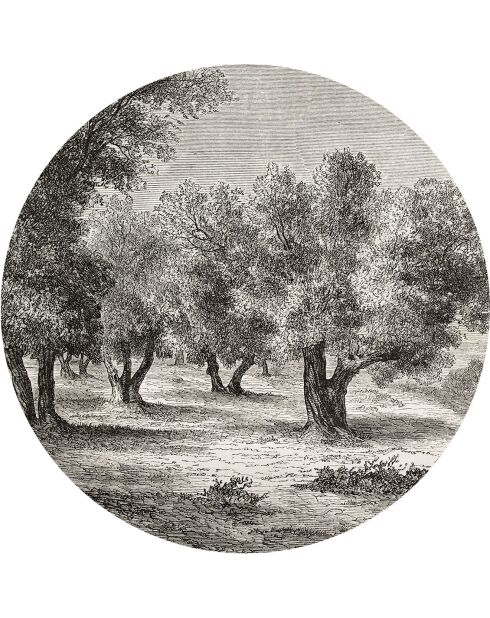4 Sets de table ronds arbre champêtre noir/blanc - D.40 cm