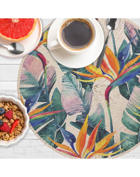 4 Sets de table ronds en osier fleur de paradis multicolores - D.40 cm