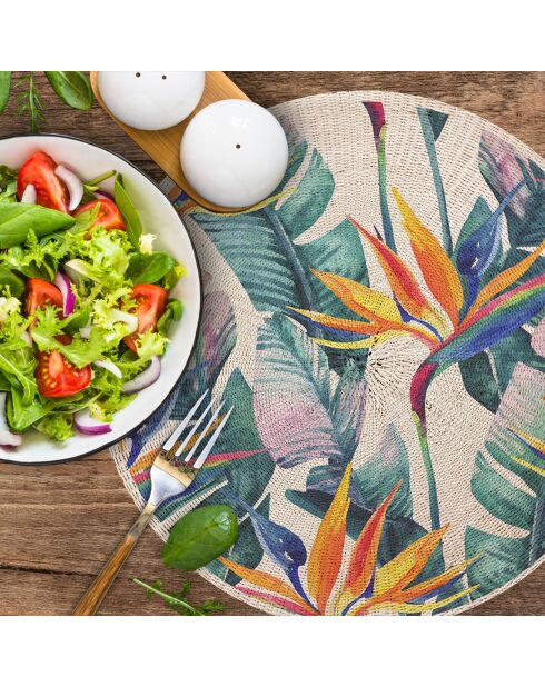 4 Sets de table ronds en osier fleur de paradis multicolores - D.40 cm