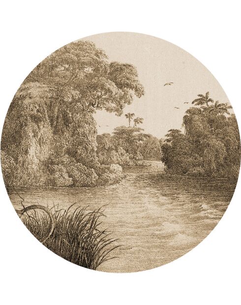 4 manteles individuales redondos Tobago multicolores - D.40 cm