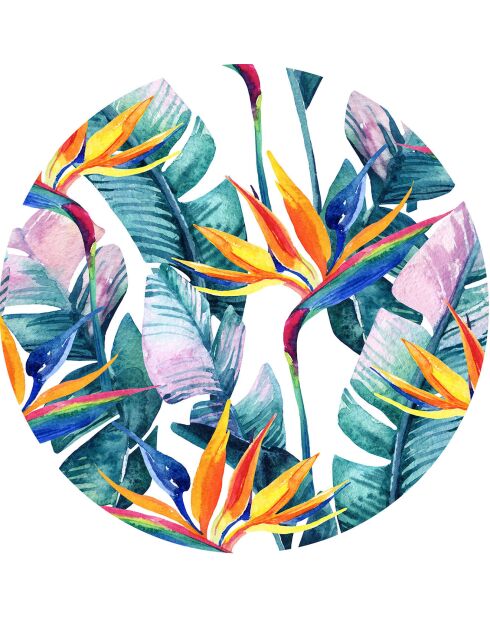 4 Sets de table ronds Fleur de paradis multicolores - D.40 cm