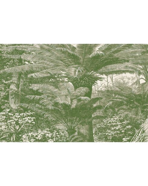 4 tovagliette rettangolari verdi Santo Domingo - 30x45 cm