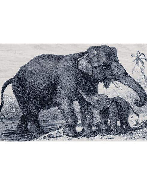 4 Sets de table rectangulairess éléphant bleus - 30x45 cm