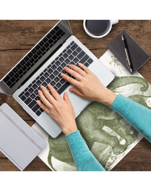 4 Sets de table rectangulairess éléphant verts - 30x45 cm