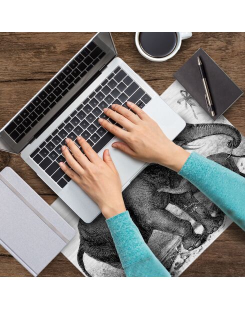 4 Sets de table Éléphant rectangulaires 10 multicolores - 30x45 cm