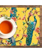 4 Sets de table rectangulairess paon  multicolores - 30x45 cm