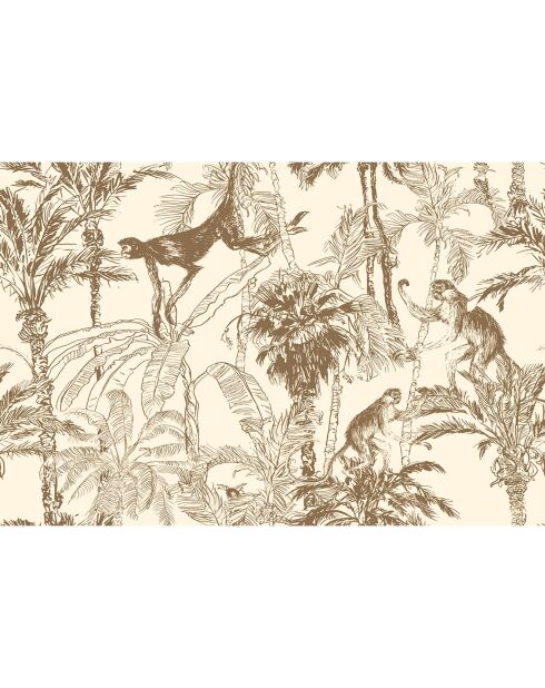 4 Sets de table rectangulairess Chimpanzés sépia - 30x45 cm