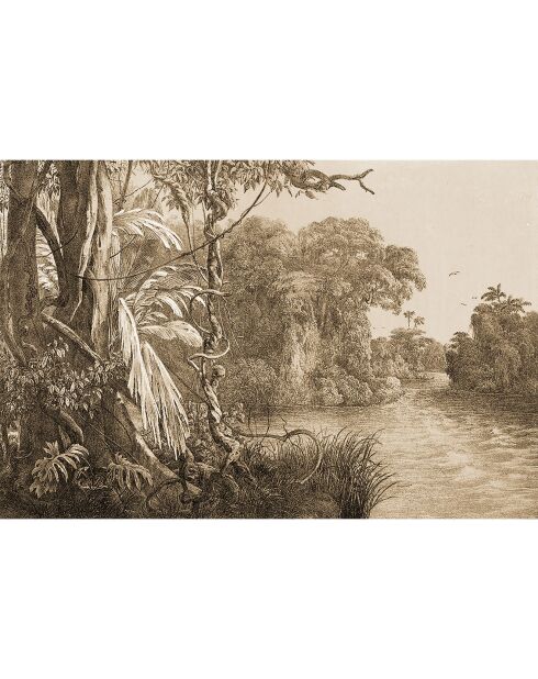 4 Sets de table rectangulaires Tobago multicolores - 30x45 cm