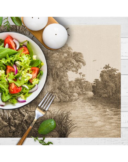 4 Sets de table rectangulaires Tobago multicolores - 30x45 cm