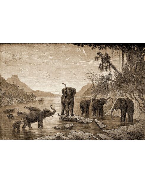 4 rechthoekige placemats sepia olifantenfamilie - 30x45 cm