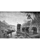 4 Sets de table rectangulairess elephant_family multicolores - 30x45 cm