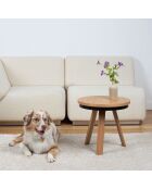 Tondeuse pour animal blanc/gris