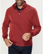 Blouson Nautique bordeaux