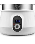 Multicuiseur multicolore - 9 L