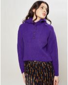 Pull en Laine mélangée Passion violet